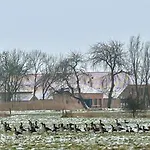 Gulfhof Wangermeer 8 Maila Hohenkirchen (Wangerland)