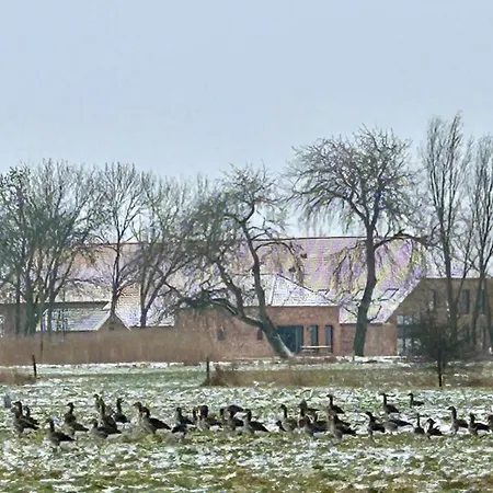 Gulfhof Wangermeer 8 Maila Hohenkirchen (Wangerland)