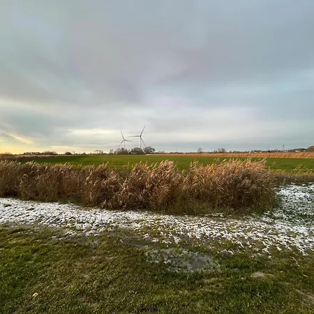 Appartamento Gulfhof Wangermeer 8 Maila