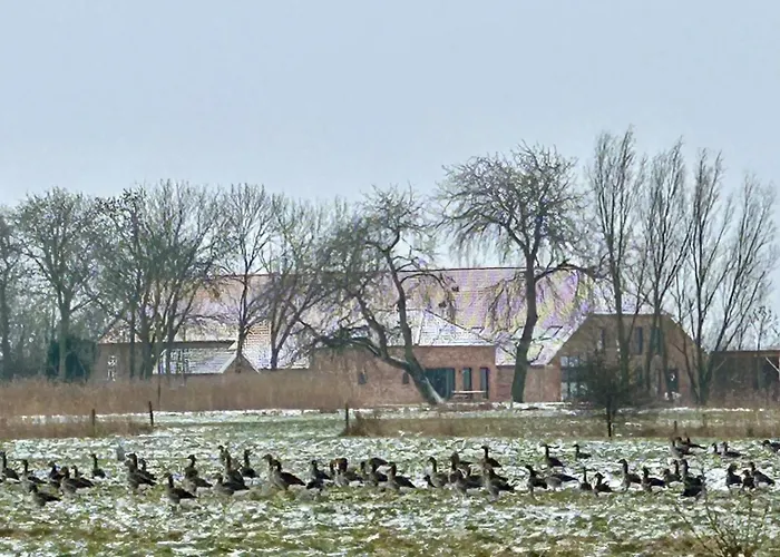 Gulfhof Wangermeer 8 Maila Hohenkirchen (Wangerland)