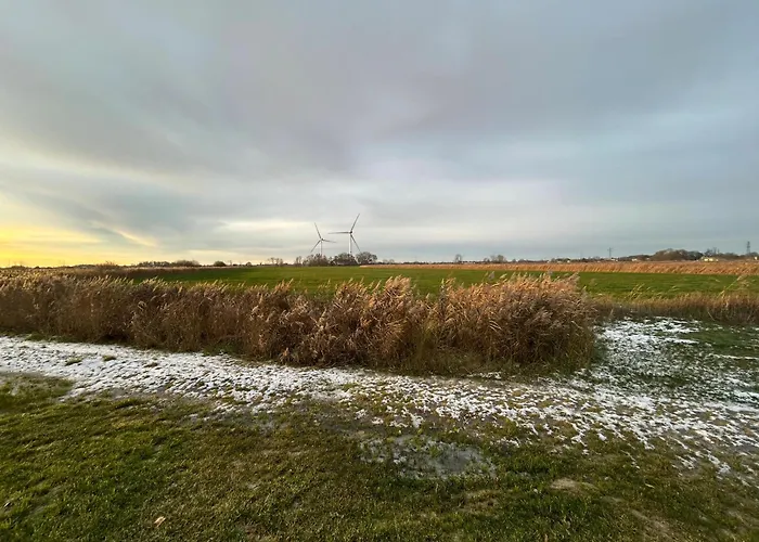 Appartamento Gulfhof Wangermeer 8 Maila